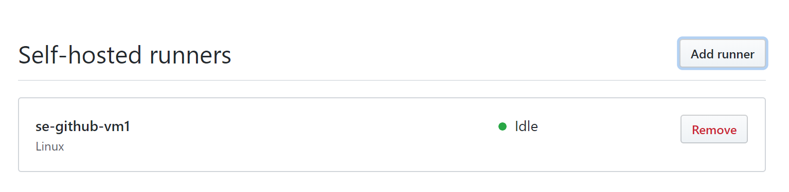 github-runner4.png
